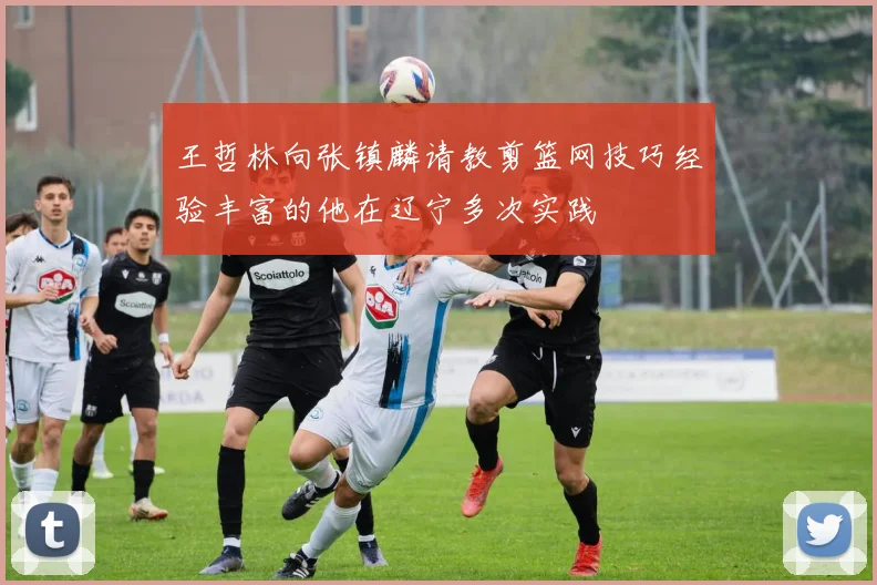 王哲林向张镇麟请教剪篮网技巧经验丰富的他在辽宁多次实践