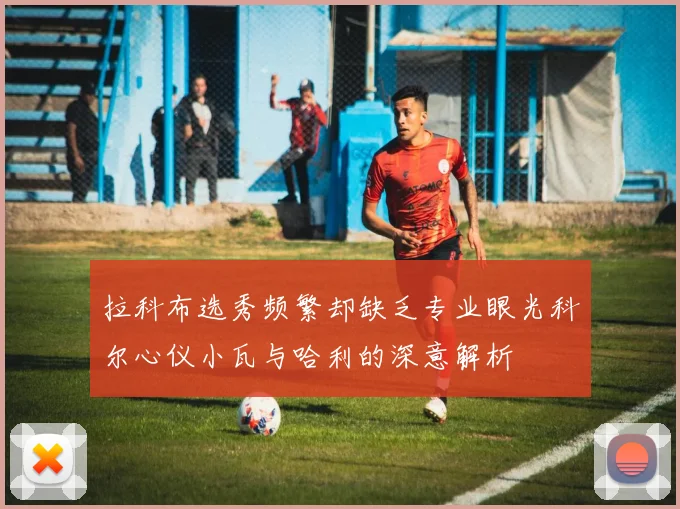 拉科布选秀频繁却缺乏专业眼光科尔心仪小瓦与哈利的深意解析